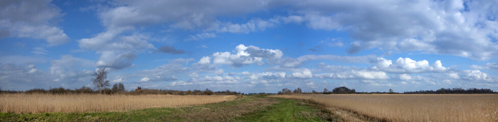 National Park the Weerribben Overijssel Netherlands. De Wetering. Nederland. Peetlands and reedfields. De Wieden.