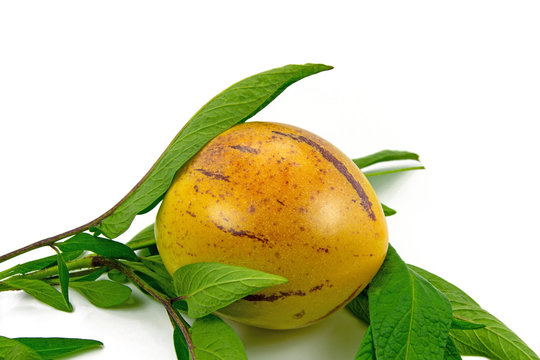 Reife Pepino, Solanum muricatum, vor wei&szlig;em Hintergrund