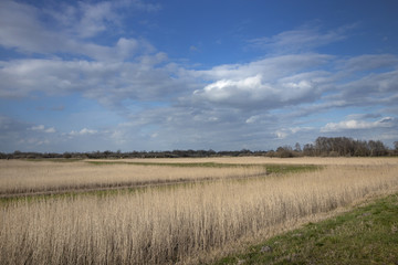 National Park the Weerribben de Wieden Overijssel Nerherlands. De Wetering. Nederland. Peetlands and reedfields.