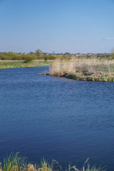 Beautiful spring river in the flowing nature. Colorful landscape in the morning and evening. Travel to deserted places of the world. Stock photo for design