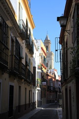 Fototapeta na wymiar An old narrow street in the center of Seville