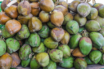 green coconuts at the market