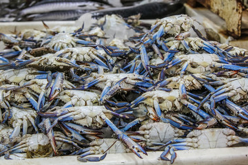 fresh crabs in seafood market