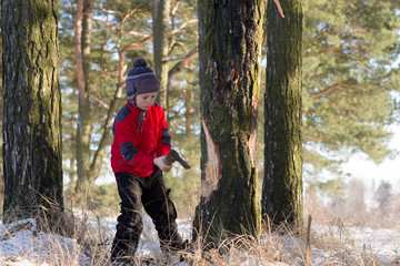 child chopping an ax with a tree in the forest