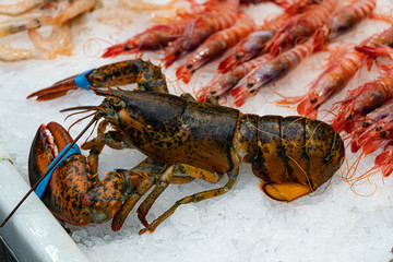 lobster on ice