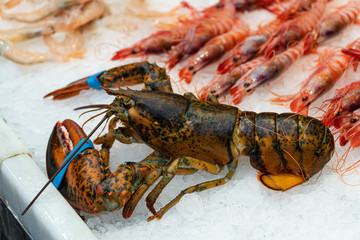 lobster on the market