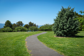 path in the park