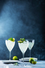 Summer cocktail mojito