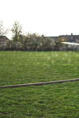 Irrigation system in the field. A broken hose leaks water. Green beautiful background. Village garden