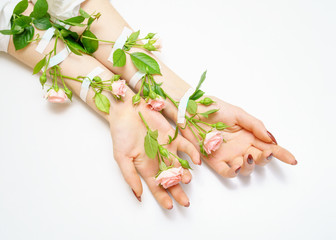 hand in hand pink rose buds on hands, on white background, insulator, hand skin care concept