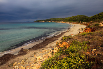 Sant Tomas, Menorca / Spain - June 25, 2016: The Binigaus beach with flowers, Sant Tomas, Menorca,...