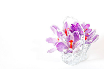 A bouquet of purple crocuses in a decorative basket on a white background