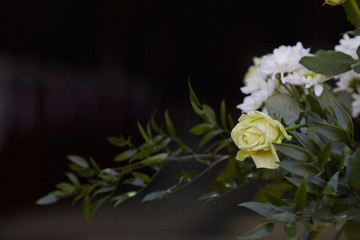 Beautiful wedding church decoration