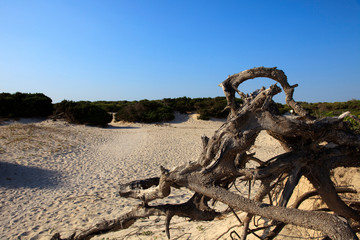 Fototapeta premium Es Trenc, Majorca / Spain - August 25, 2016: Es Trenc beach, Colonia de Sant Jordi, Mallorca, Balearic Islands, Spain.