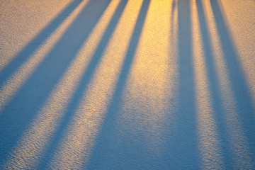 Shadow formations on snow, Sweden
