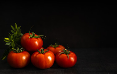 Fresh harvested tomato on a dark background