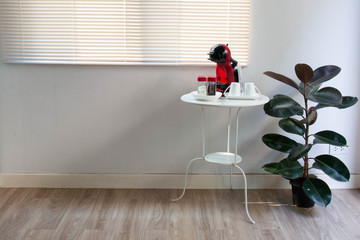 Morning coffee corner Interior decoration of the house with Indian rubber trees. At present it is popular to use air purification plants to decorate the house.