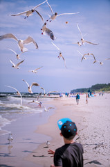 Summer camp, zabawa na plaży nad morzem z mewami, karmienie ptaków - obrazy, fototapety, plakaty