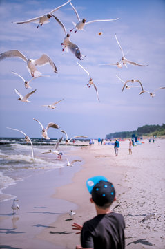 Summer camp, zabawa na plaży nad morzem z mewami, karmienie ptak&oacute;w