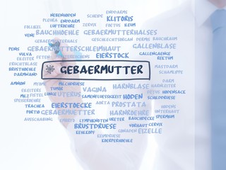 Geb�rmutter
