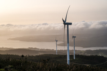 Beautiful view of field with wind turbines at sunset and cloudy sky in northern Spain