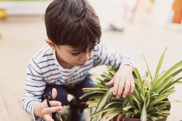 Little boy pruning flower pot at home as a gardener