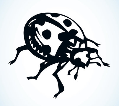 Ladybug beetle. Vector drawing icon