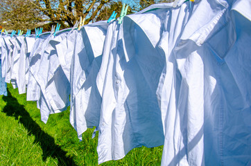 White shirts hanging outside to dry on a washing line in a garden