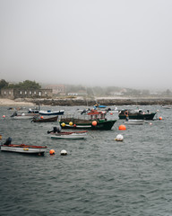 Fototapeta premium Typical fishing boats from northern spain floating in misty day