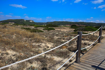 Fototapeta na wymiar Son Bou, Menorca / Spain - June 22, 2016: The dunes park area at Son Bou beach near Alaior, Menorca, Balearic Islands, Spain