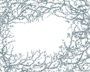 Branch of Blackthorn. Vector drawing