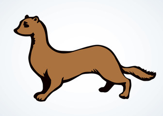 Least weasel. Vector drawing icon