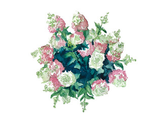 Blooming hydrangea panicle bush top view for landscape design watercolor drawing