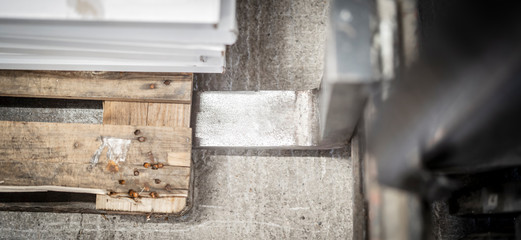 Gabelstapler hebt Palette mit den Zinken an