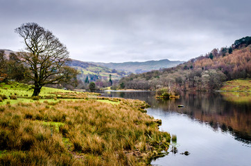 Fototapeta na wymiar A calm winter view of Elterwater in the Great Langdale lake district Cumbria.