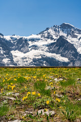 Switzerland, Panoramic view on Jungfraujoch