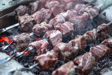 Roasted meat on the fire. Camping cooking kebab. Barbecue