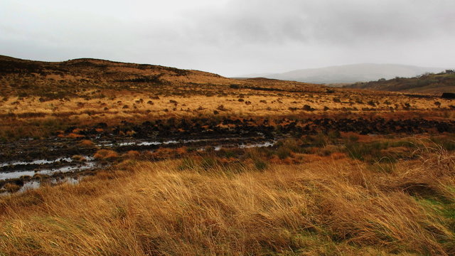 boggy filds in the mountains, turf staks, Connemara, Galway, Ireland