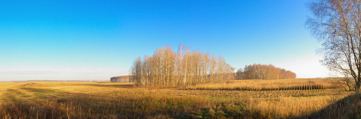 Fototapeta premium panoramic view of the agricultural land in early spring