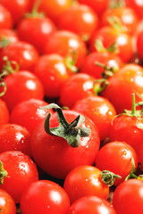 red cherry tomato on wooden background