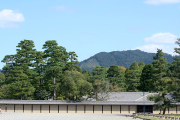 新緑の右大文字