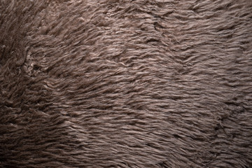 The texture of natural brown sheep's fur