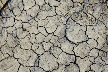 Dry and cracked soil