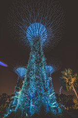 Obraz premium Singapore at night