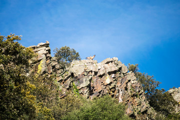 Naklejka premium Monfragüe