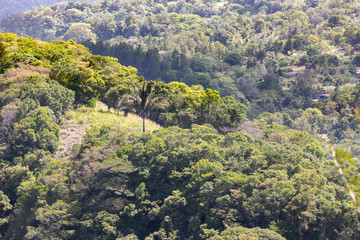 Panama Boquete tropical forest on the hills