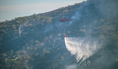 Firefighters battling a wildfire burning a forest of trees on a mountain.