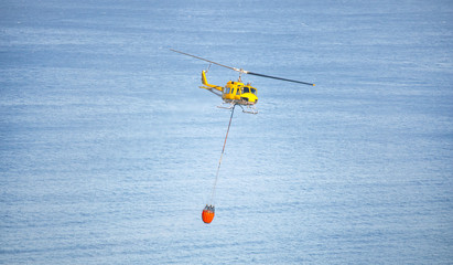 Firefighters bringing water from the ocean to a wildfire burning a forest of trees on a mountain.