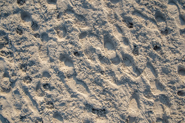 traces in the sand from shoes and animal paws on the beach