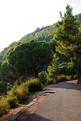 Nature in Montenegro